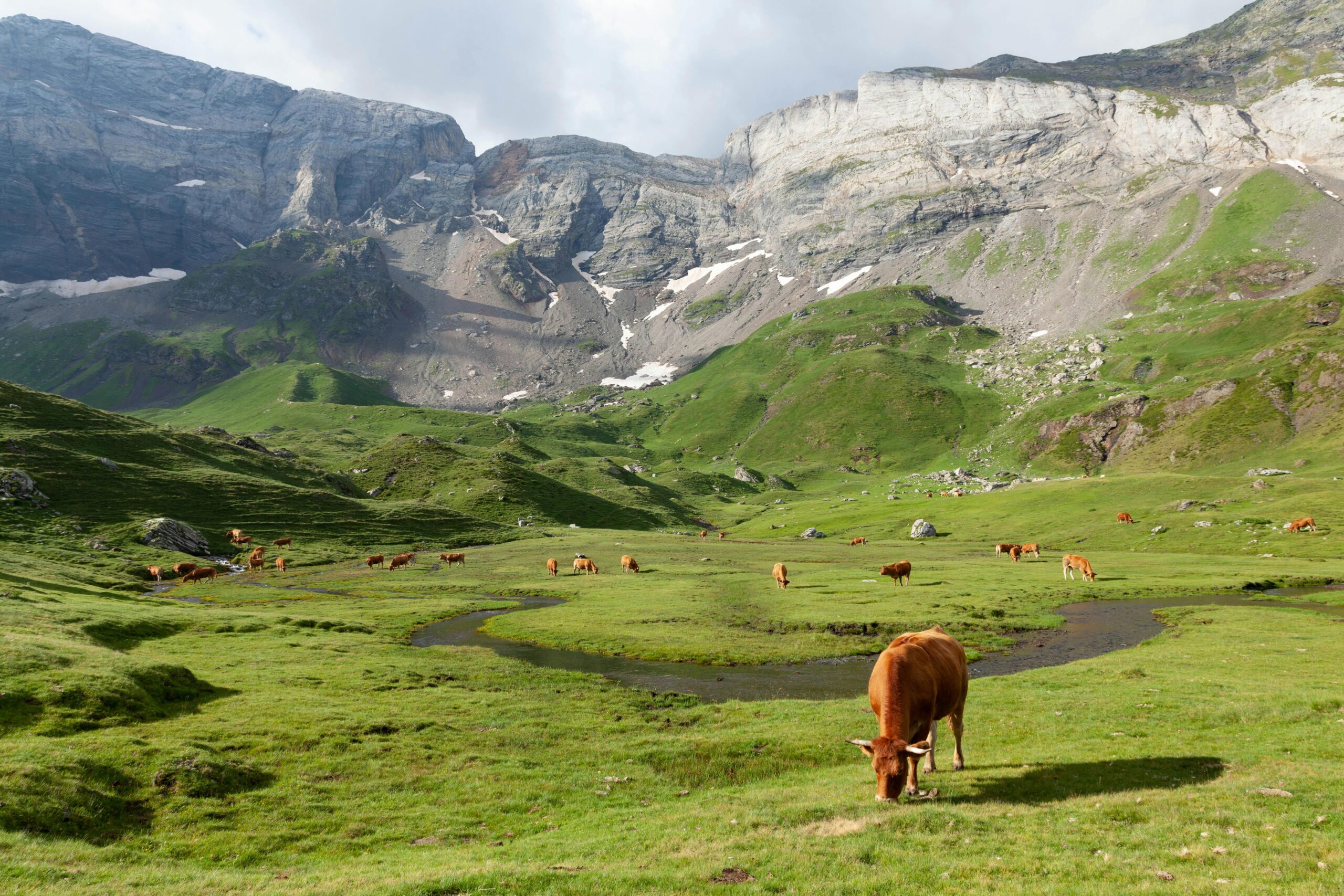 pexels philippe serrand 337910945 18635449